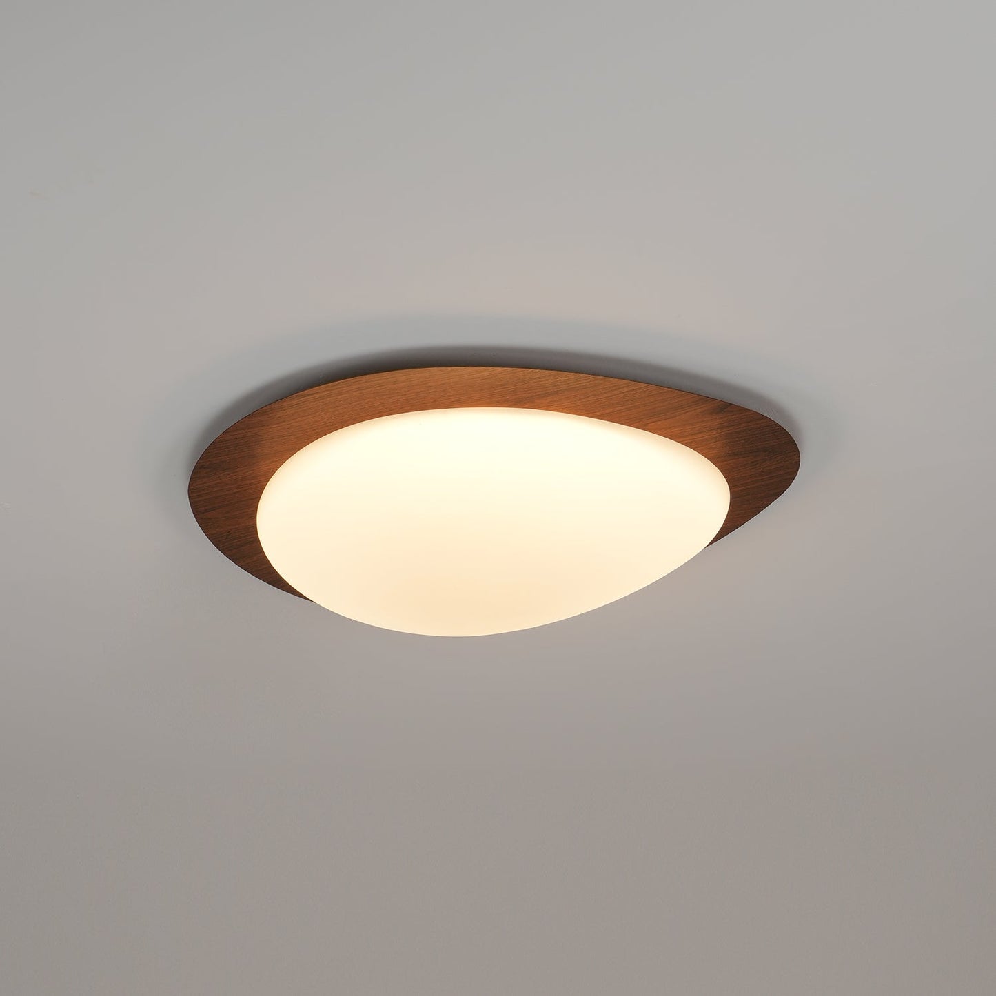 Elenorris | Skulpturel Pebble Silhuet Indbygningsloftlampe