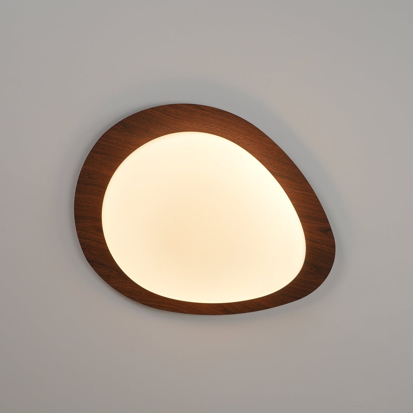 Elenorris | Skulpturel Pebble Silhuet Indbygningsloftlampe