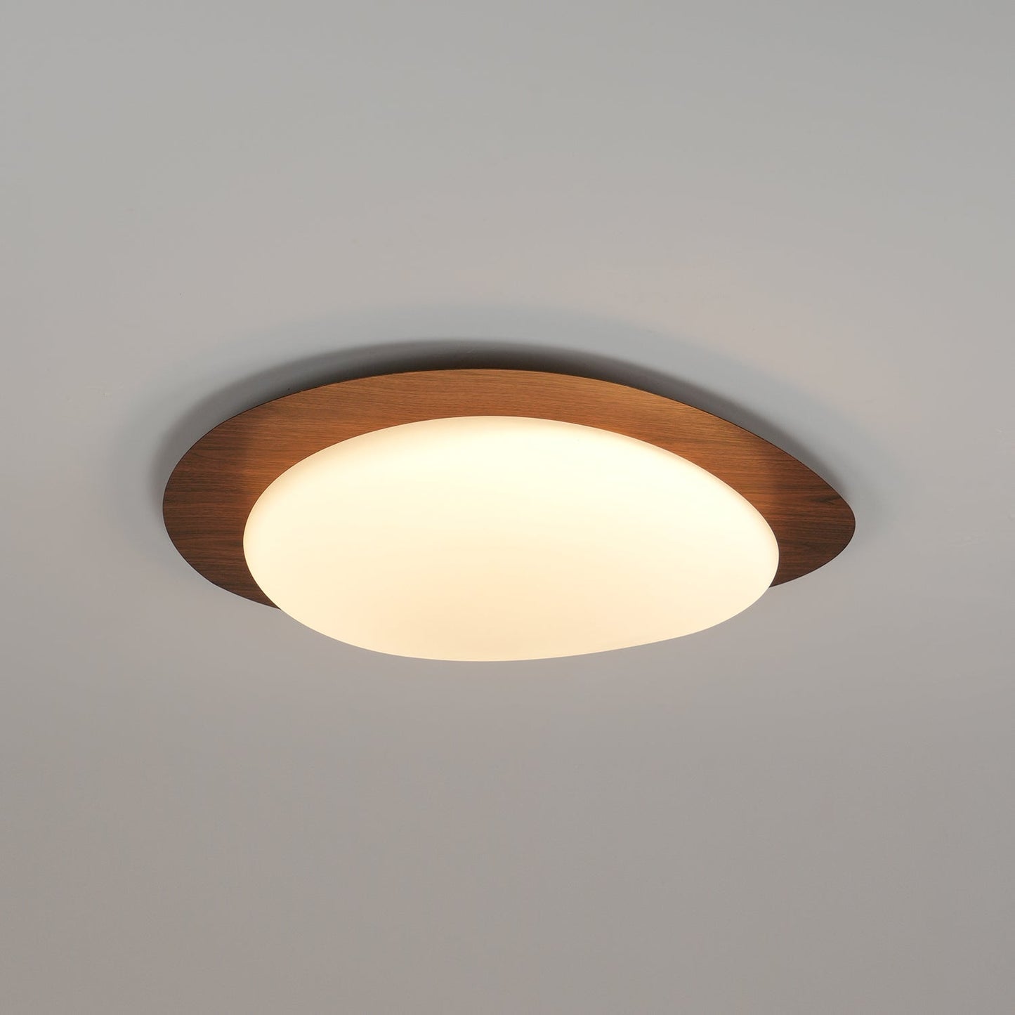 Elenorris | Skulpturel Pebble Silhuet Indbygningsloftlampe