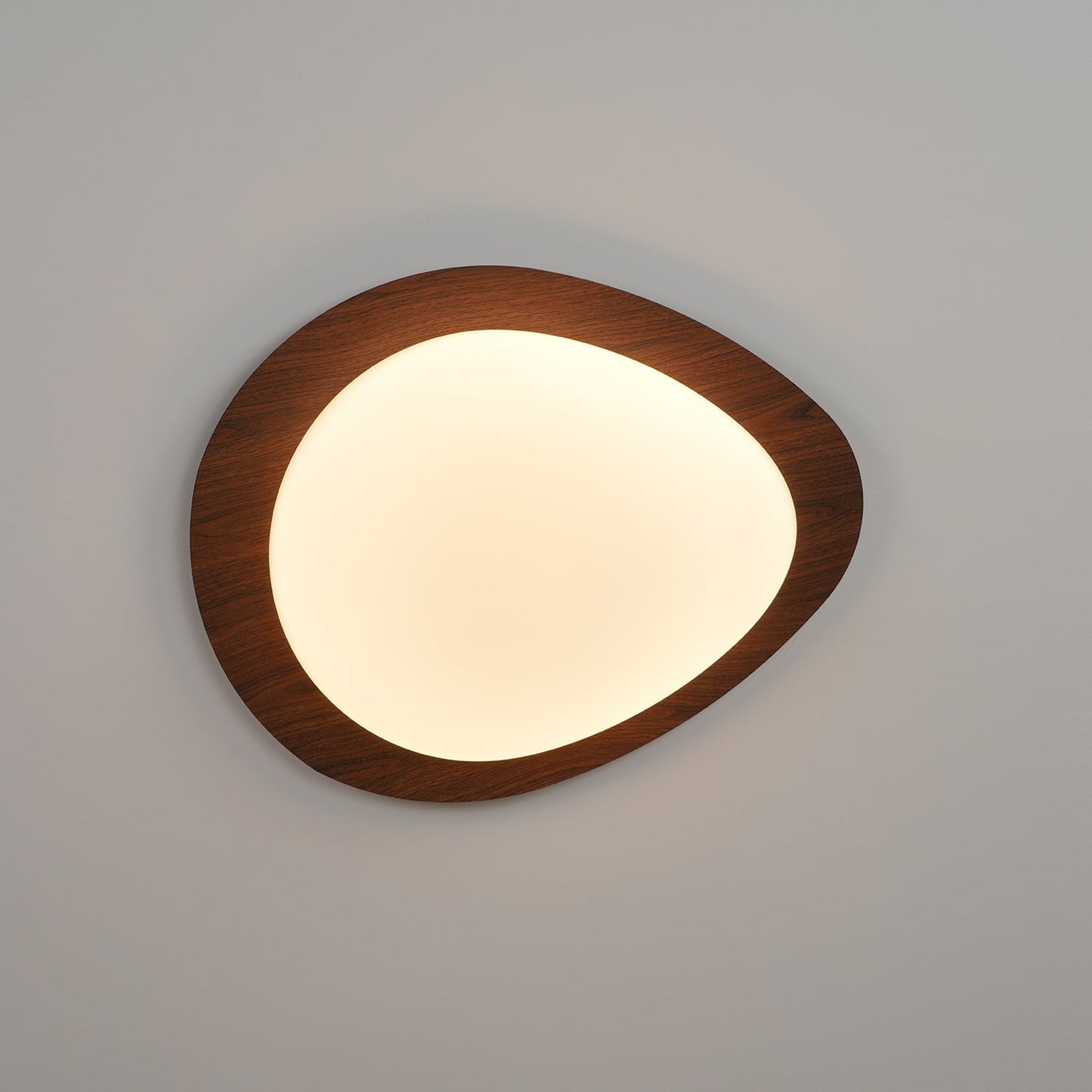 Elenorris | Skulpturel Pebble Silhuet Indbygningsloftlampe