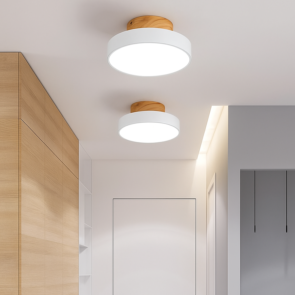 Kaelitho | Moderne geometrisk malet metal disk loftlampe