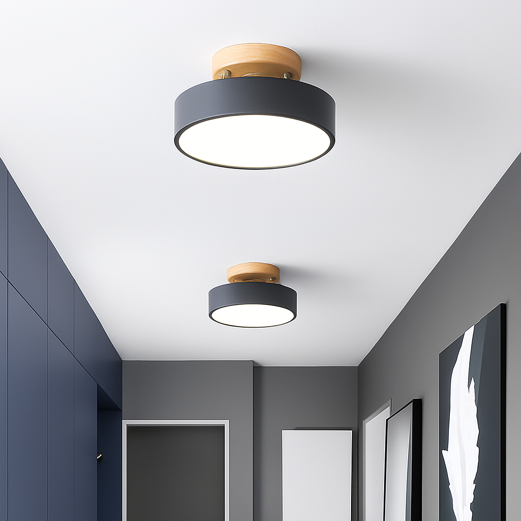 Kaelitho | Moderne geometrisk malet metal disk loftlampe