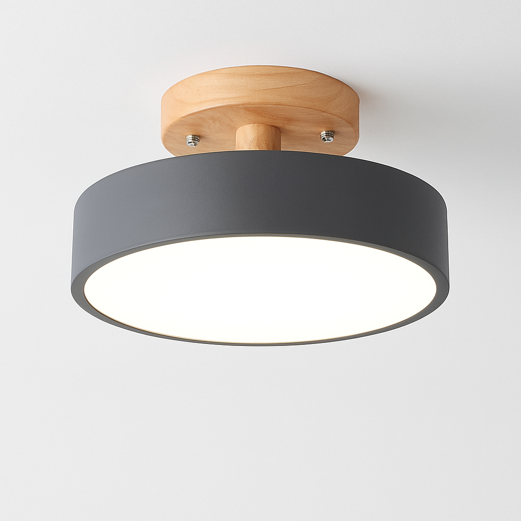 Kaelitho | Moderne geometrisk malet metal disk loftlampe