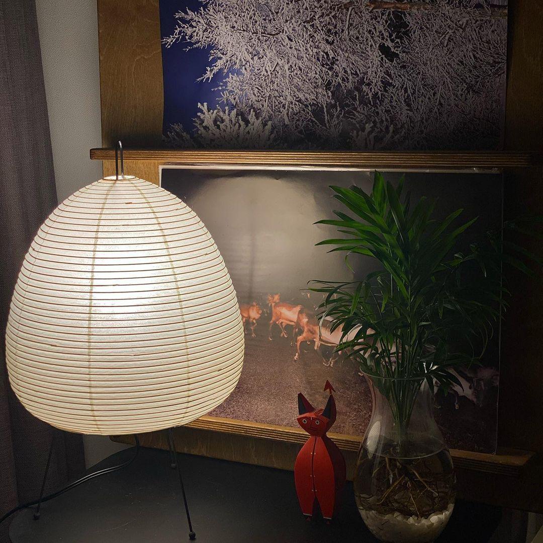 Kryntaleo | Japansk Ribbede Bambus Silhuet Oriental Accent Bordlampe