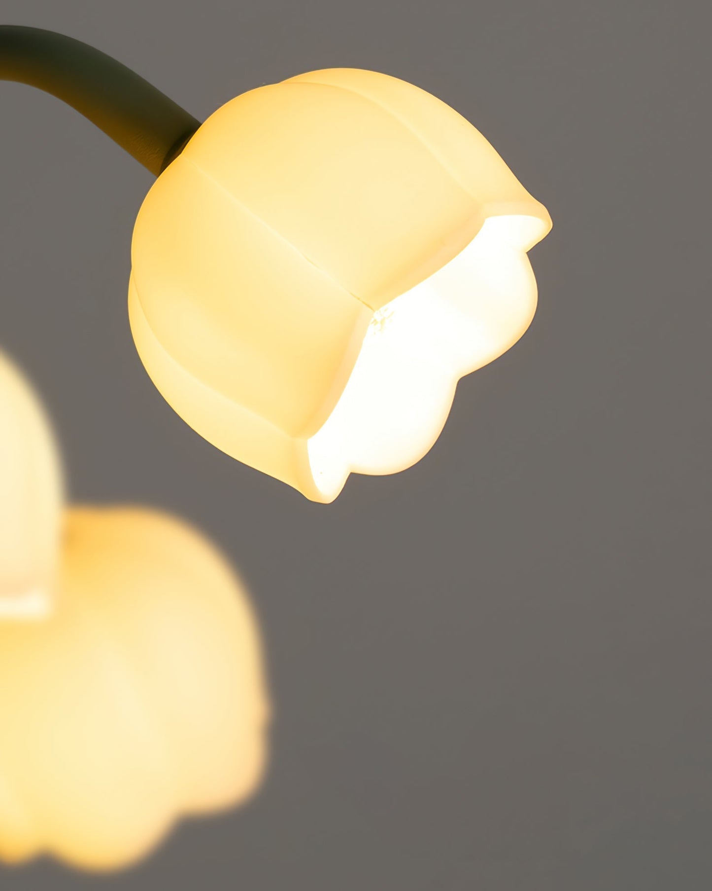 Tulipanformet Orchid Blomstret Bordlampe