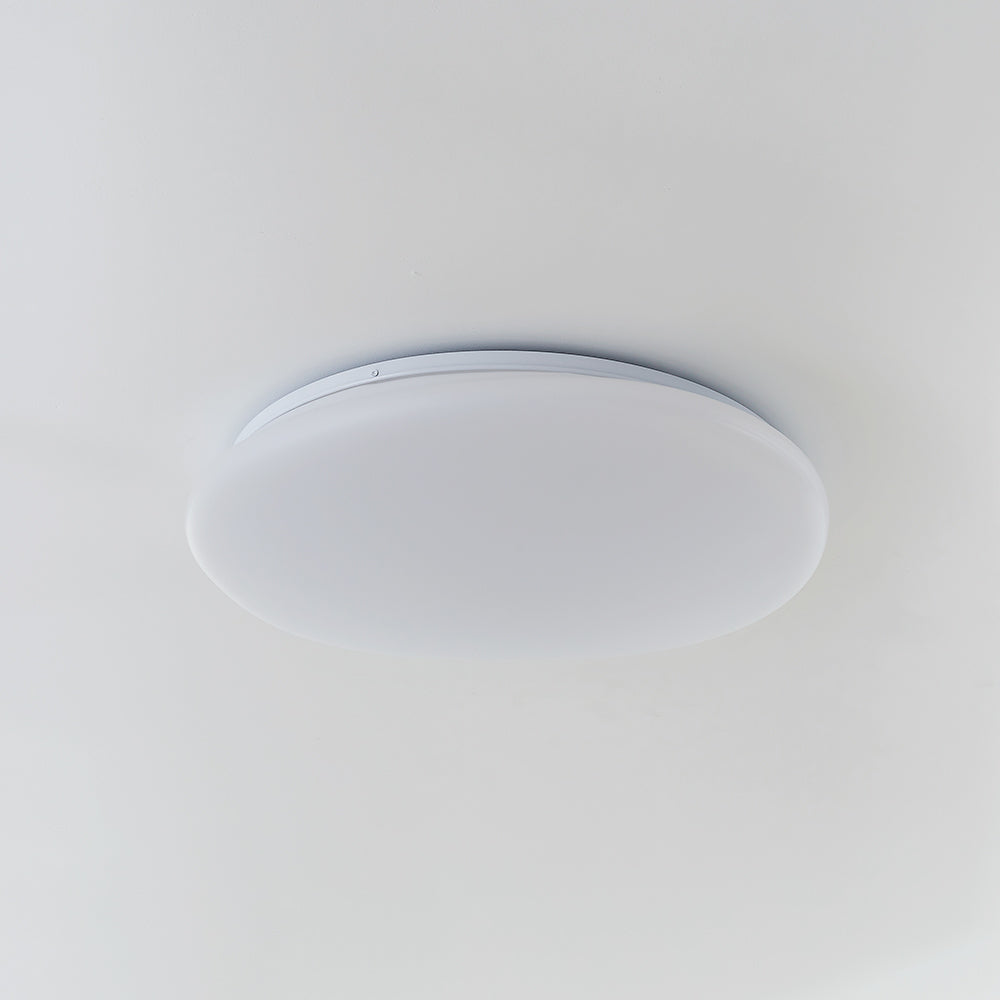 Aehelis | Moderne minimalistisk uregelmæssig pebble silhuet LED loftslampe