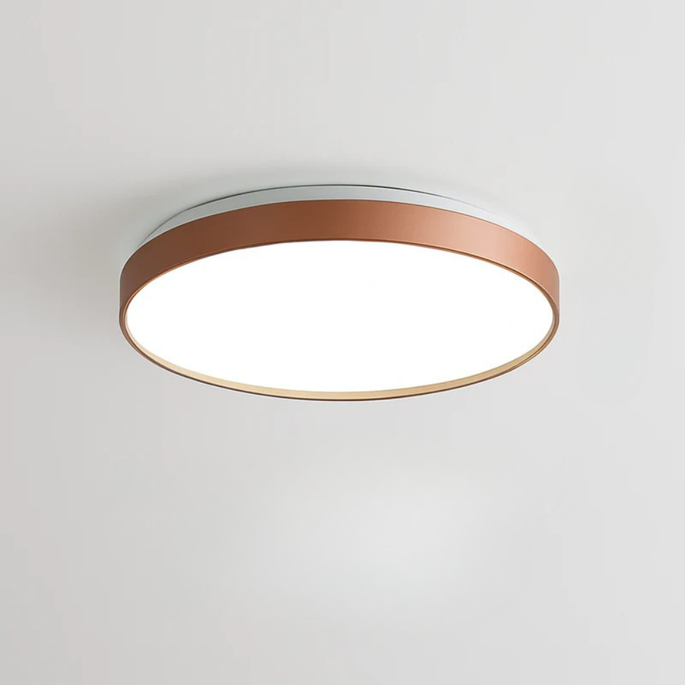 Zyldor | Slank cirkulær moderne metal loftslampe med indbygget montering