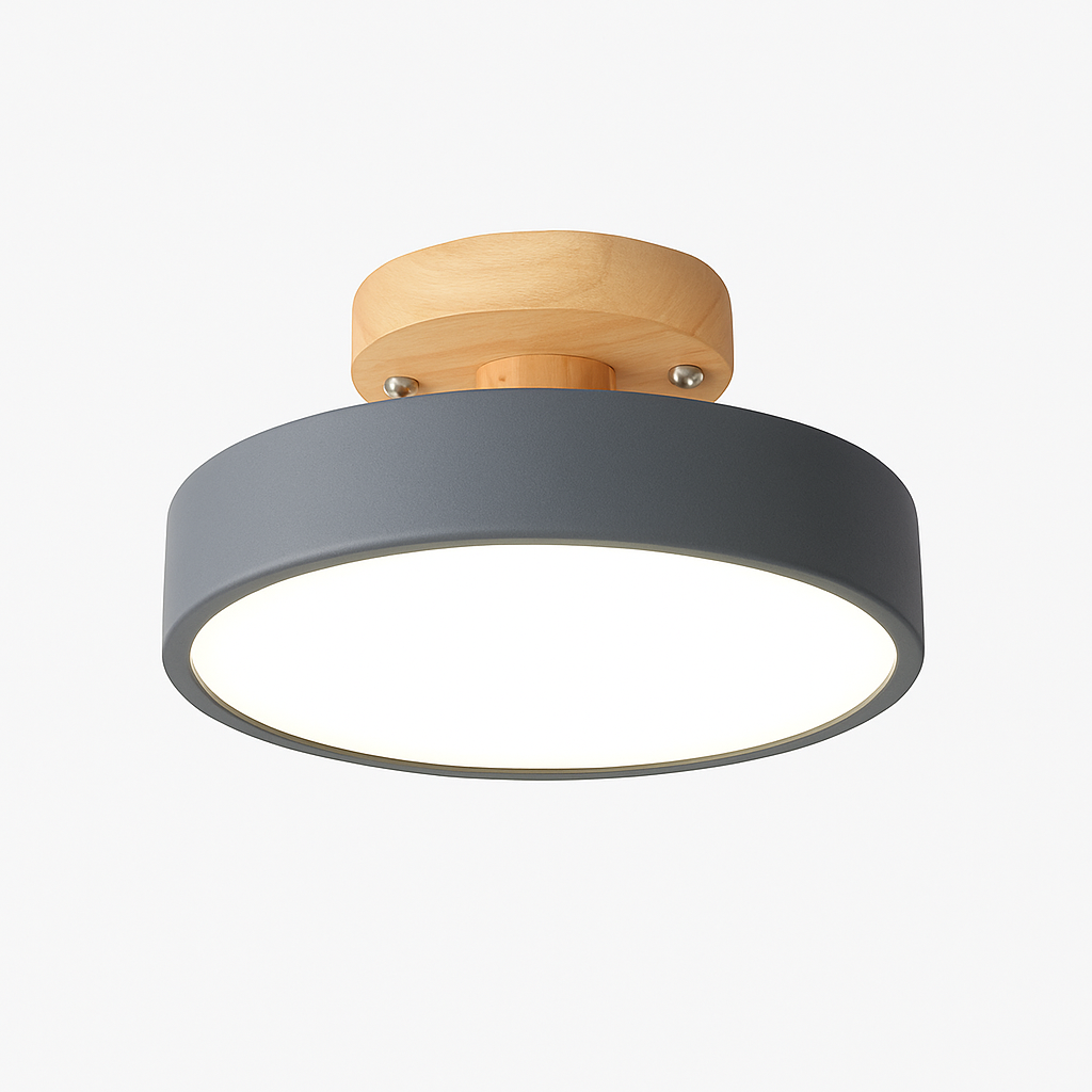 Kaelitho | Moderne geometrisk malet metal disk loftlampe