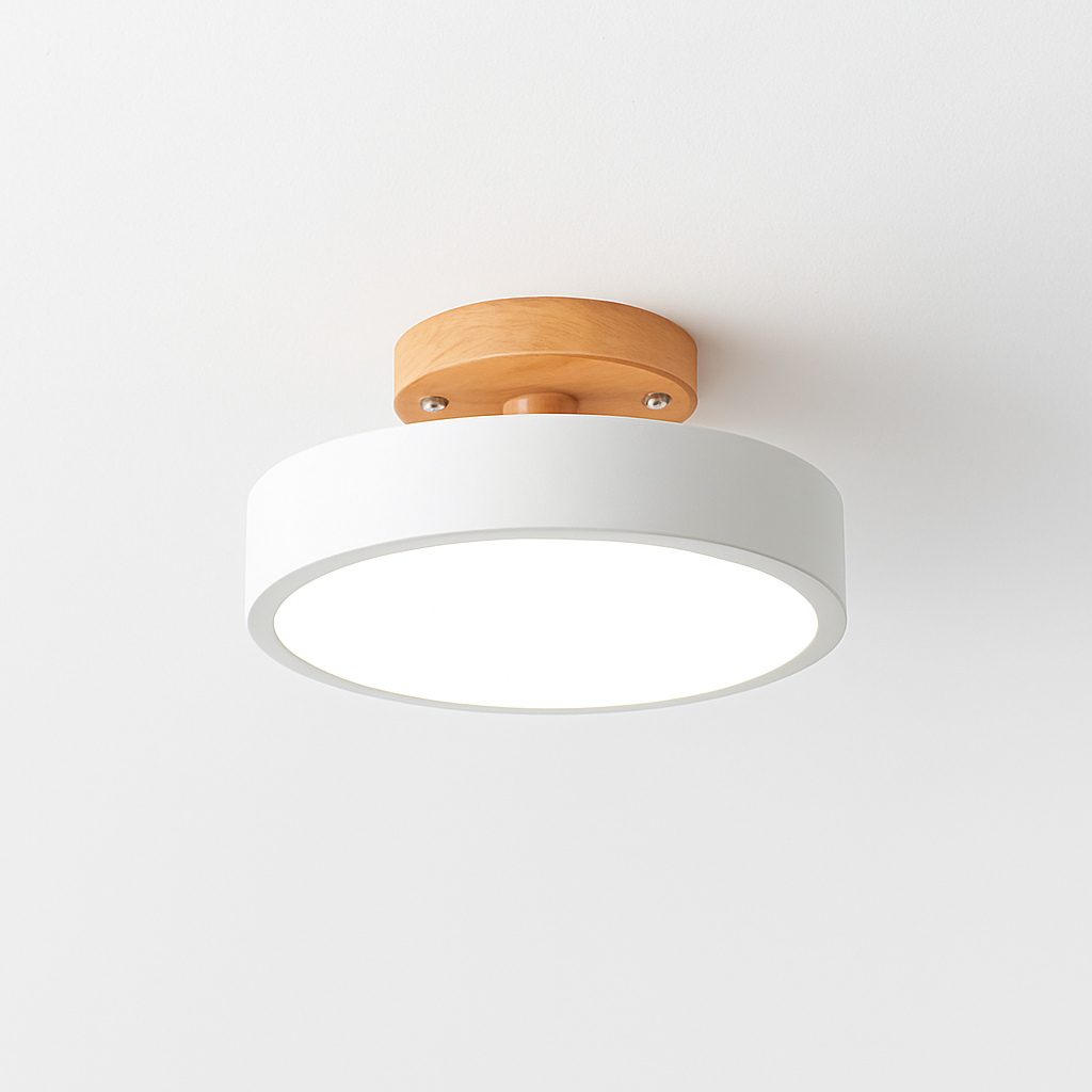 Kaelitho | Moderne geometrisk malet metal disk loftlampe